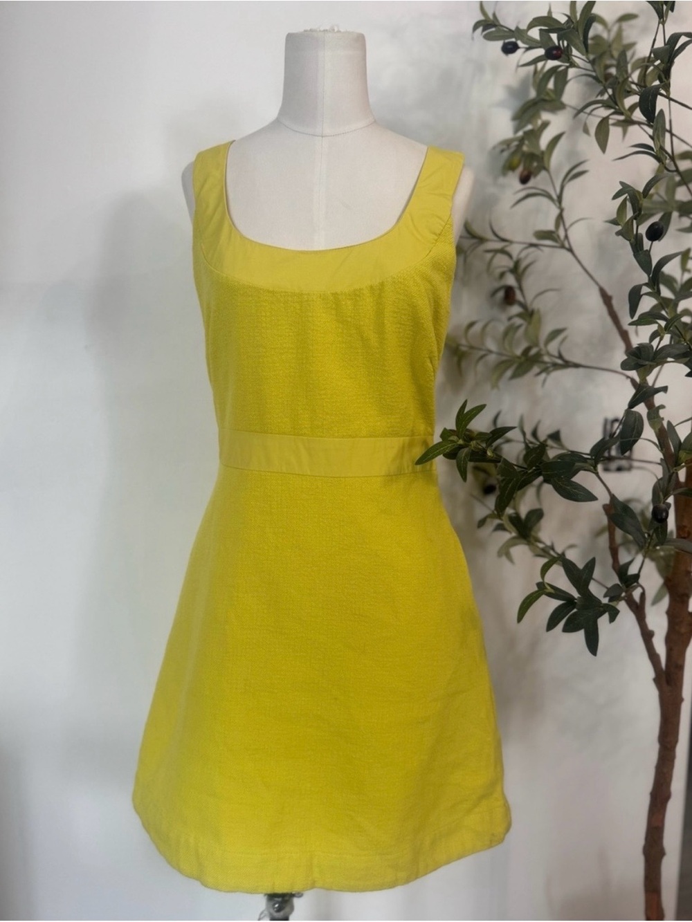 Anthropologie Scoop-Neck Mini Dress